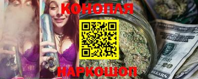 сатива Гай