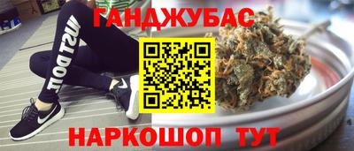 сатива Гай