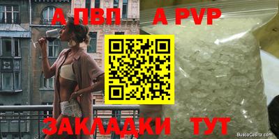 сатива Гай