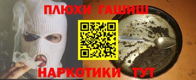 сатива Гай