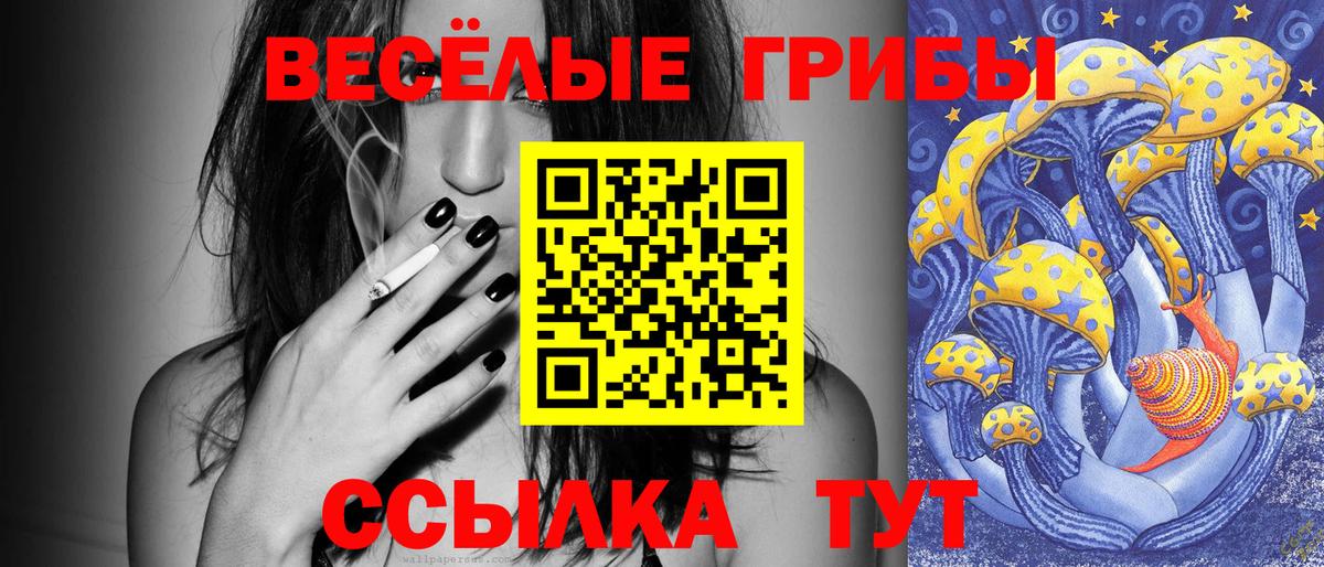 Галлюциногенные грибы GOLDEN TEACHER Киров