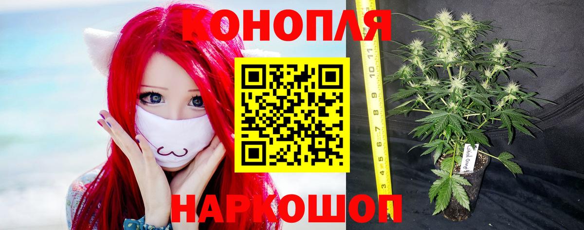 МАРИХУАНА конопля Киров